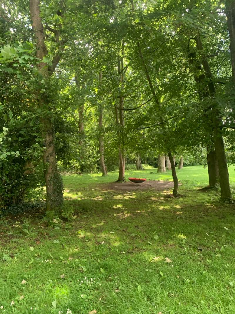 walking near me in Castletown Demesne in summer