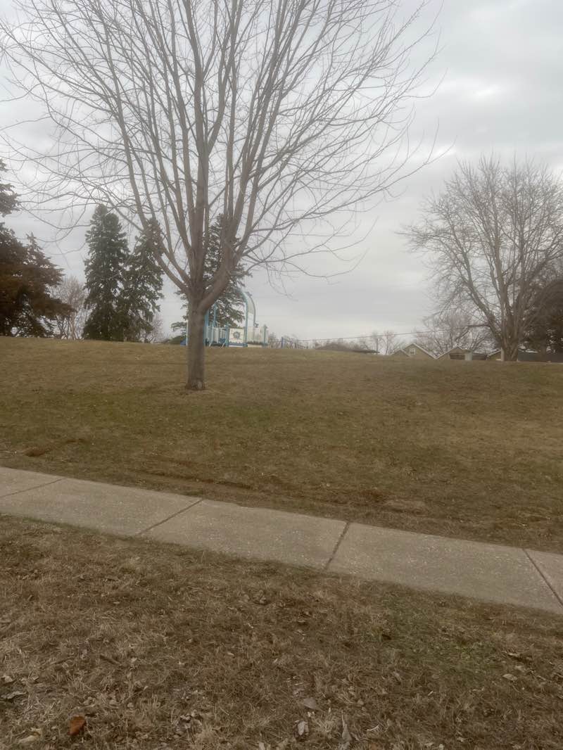 walking near me in Macomb Park in spring