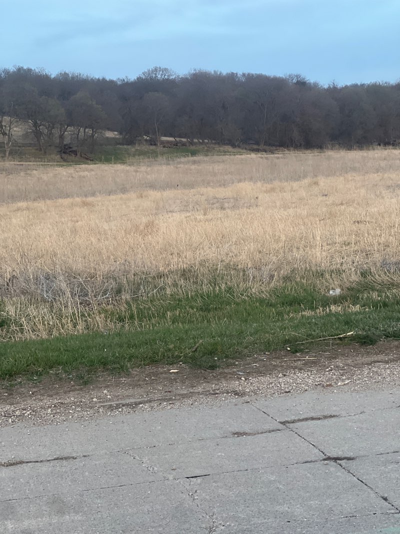 walking near me in Prairie Park in spring