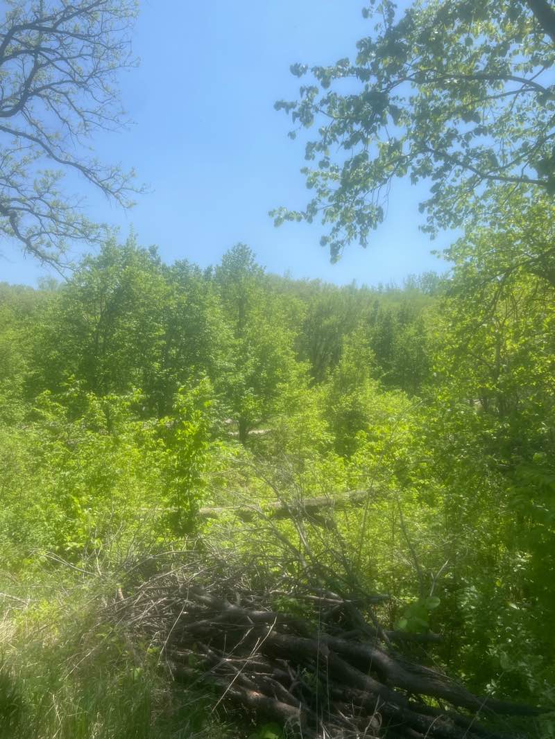 walking near me in Bacon Creek Park in spring