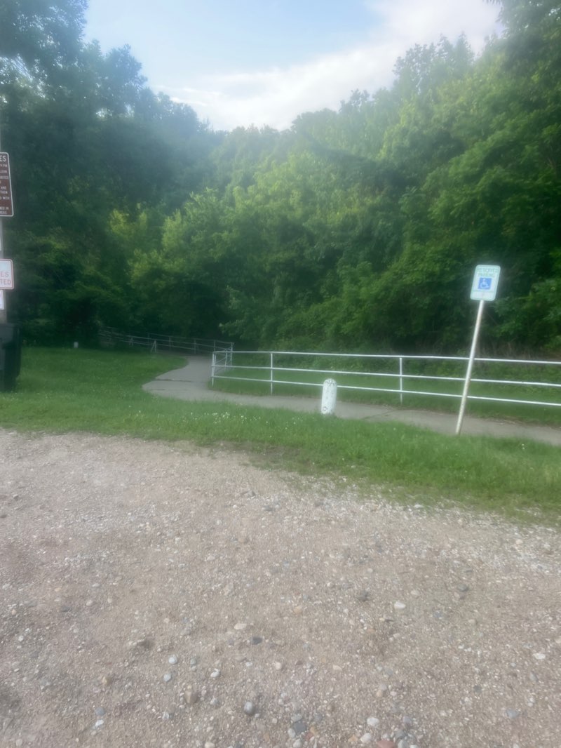 walking near me in South Ravine Park in summer