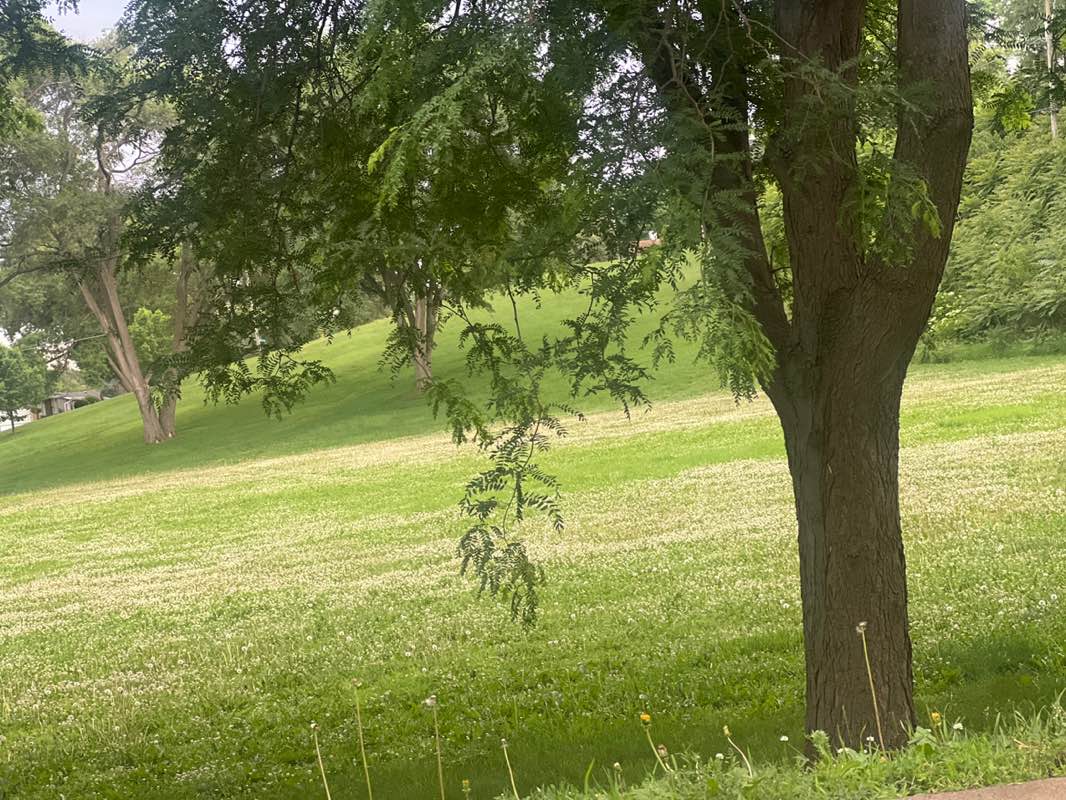 walking near me in Emerson Park in summer