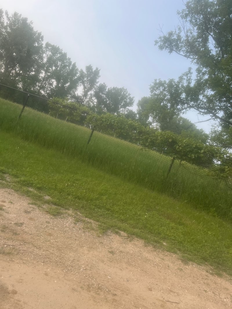 walking near me in War Eagle Park in summer