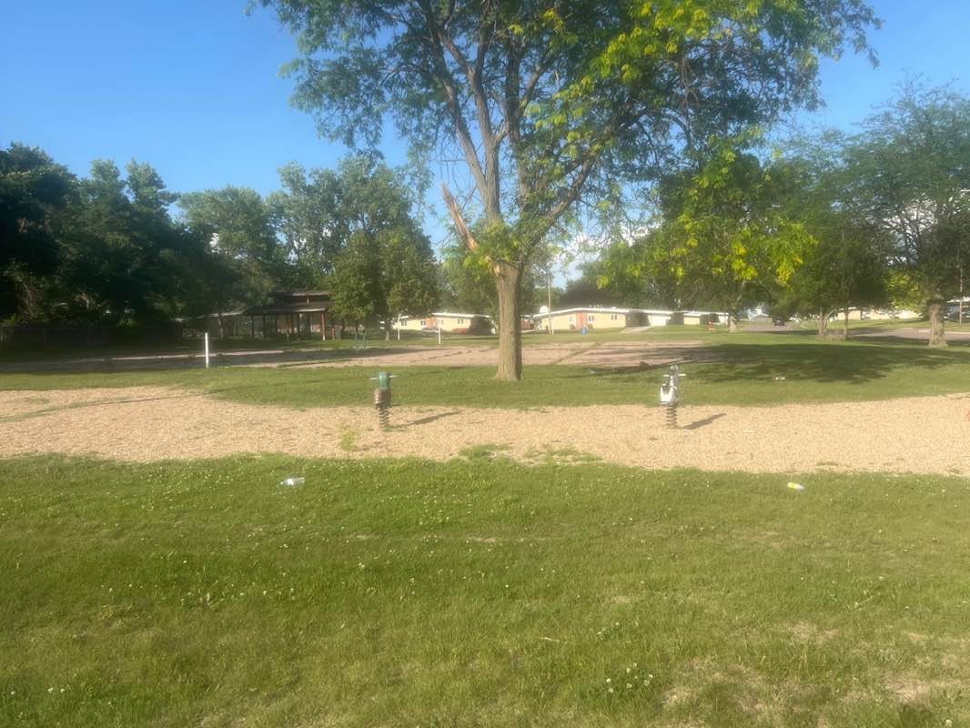 walking near me in Wilde Park in summer