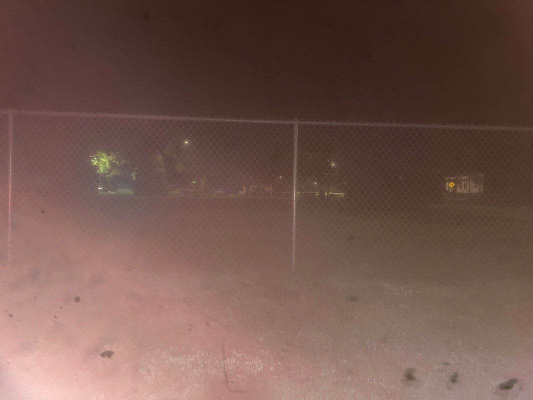 walking near me in Children's Park in summer