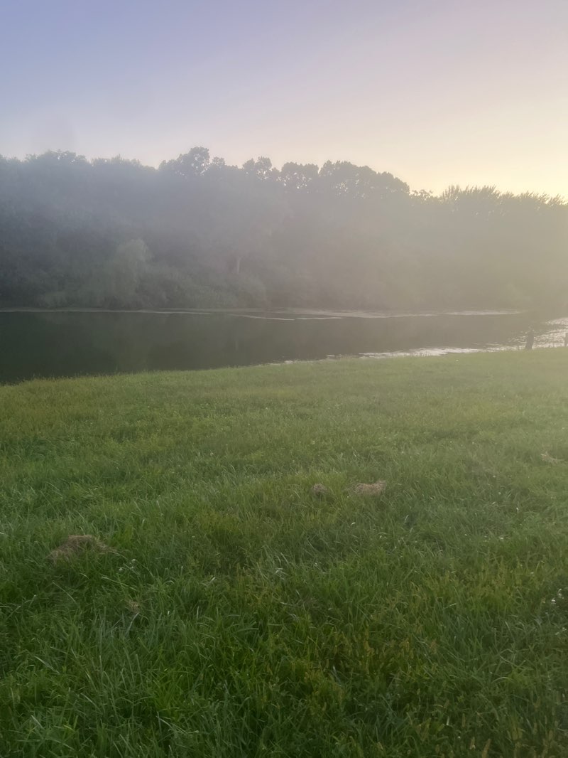 walking near me in Sertoma Park in autumn