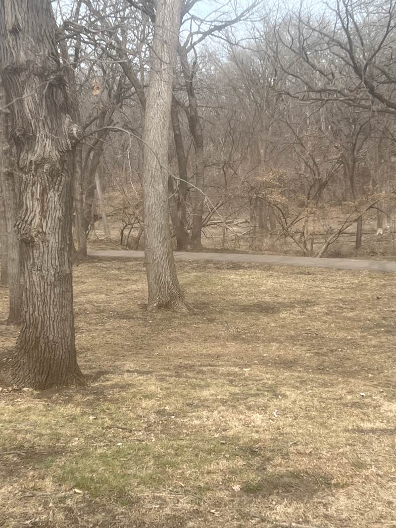 walking near me in Bacon Creek Park in spring