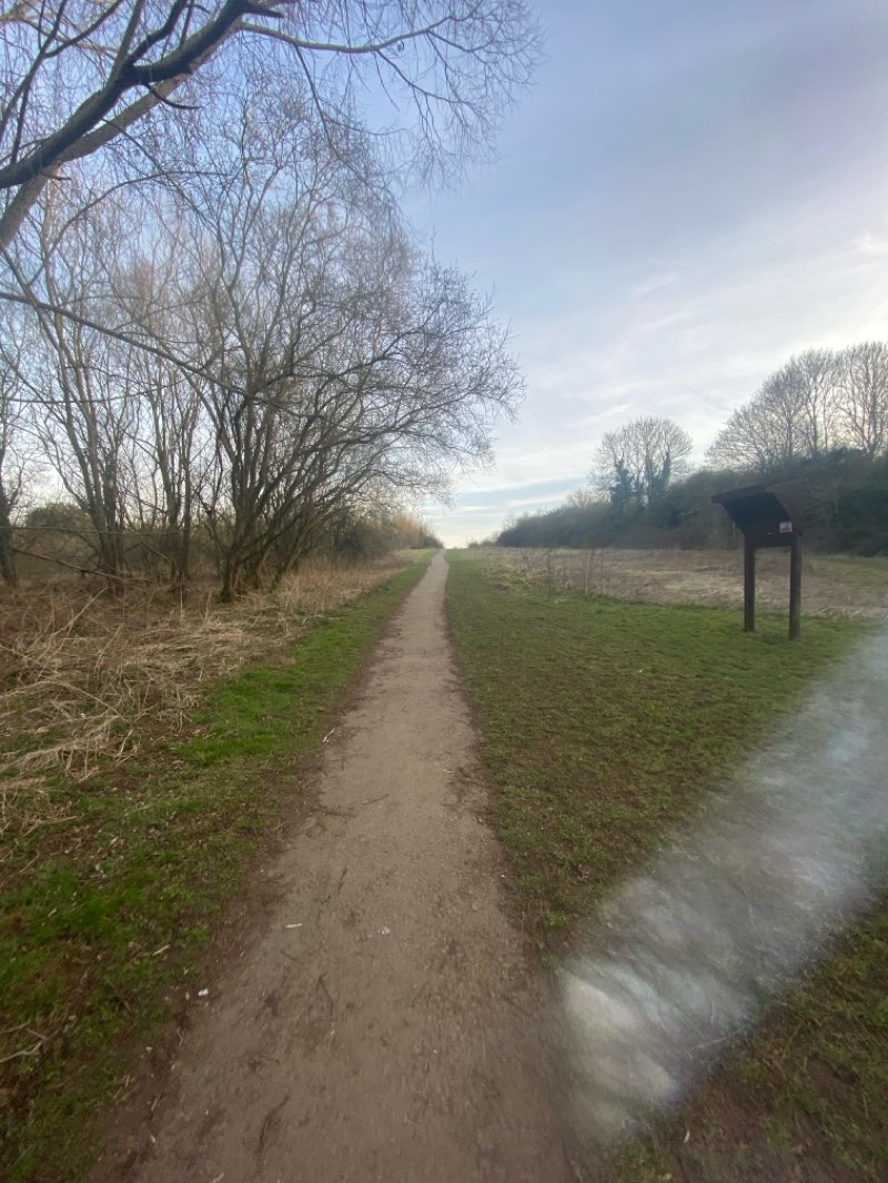 walking near me in Weldon Woodland Park in spring