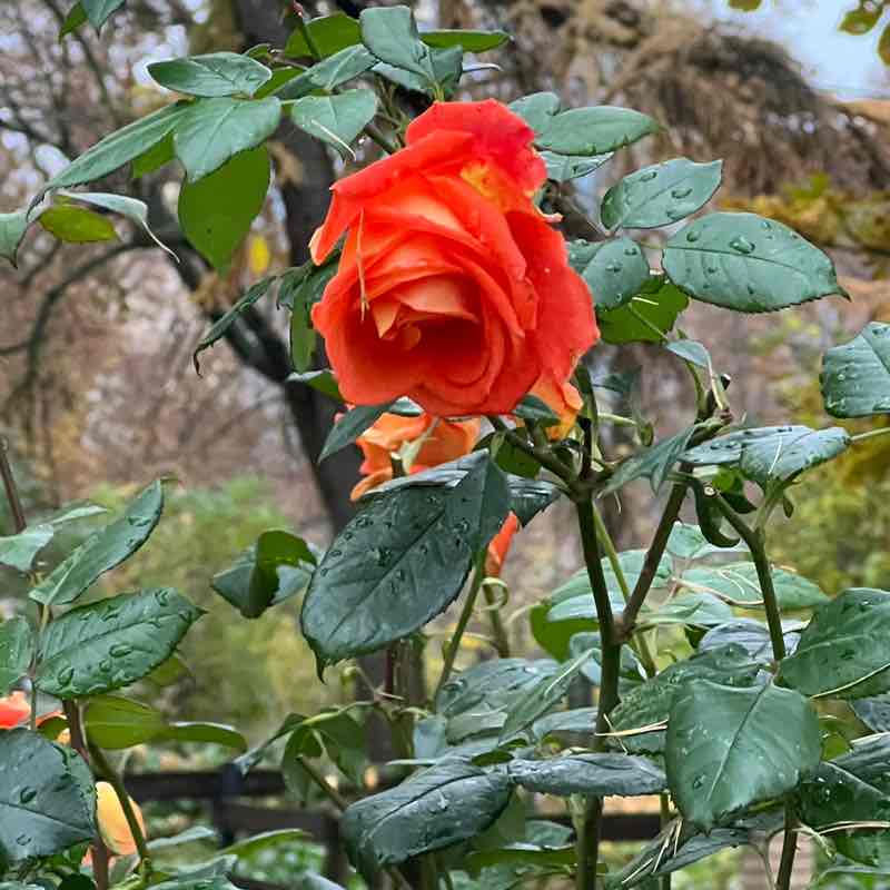 Анастасия post 2