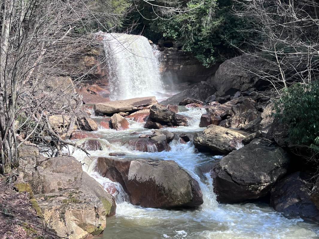 walking near me in Monongahela National Forest in spring