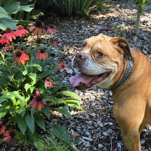 Mimi 🇨🇦 profile