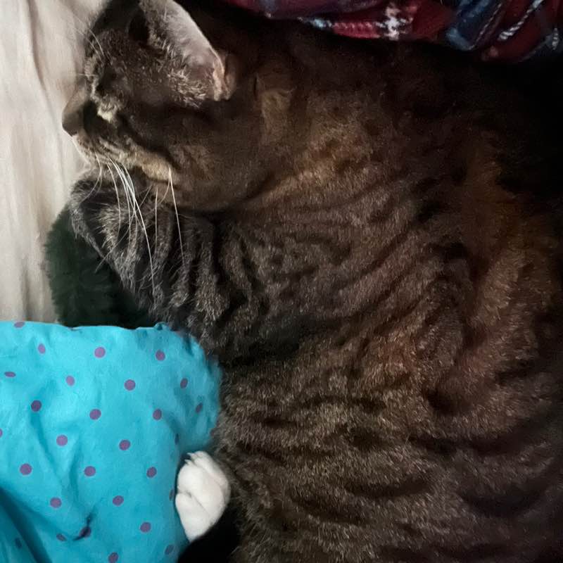 Amazing Race Goals Faith post image