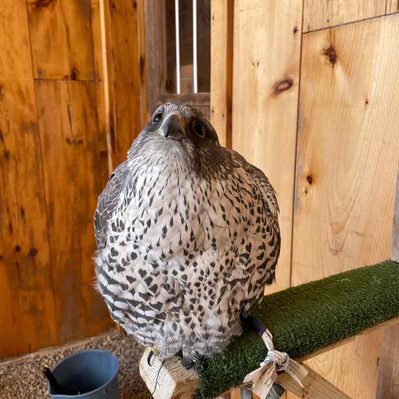 Amazing Race Goals Faith post image