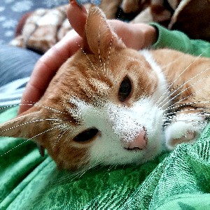 Gunta Kockere profile