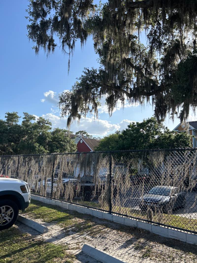 walking near me in Ellis-Methvin Park in spring