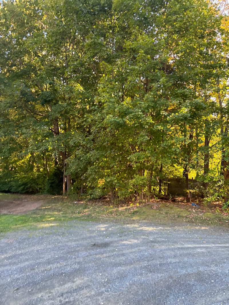 walking near me in Town Open Space (Scotland Avenue) in autumn