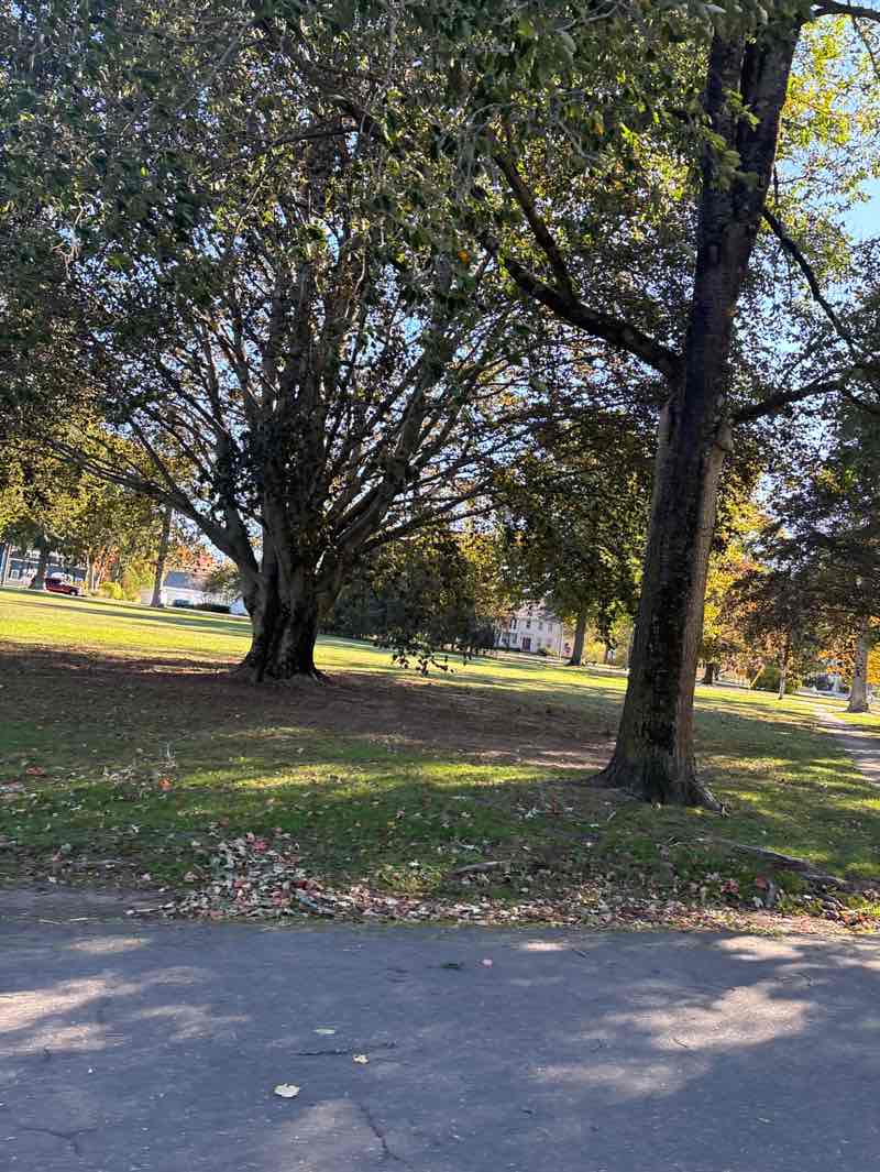walking near me in Madison Green Historic District in autumn