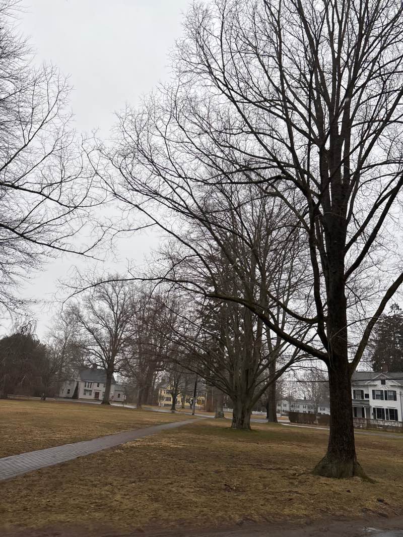 walking near me in Madison Green Historic District in winter