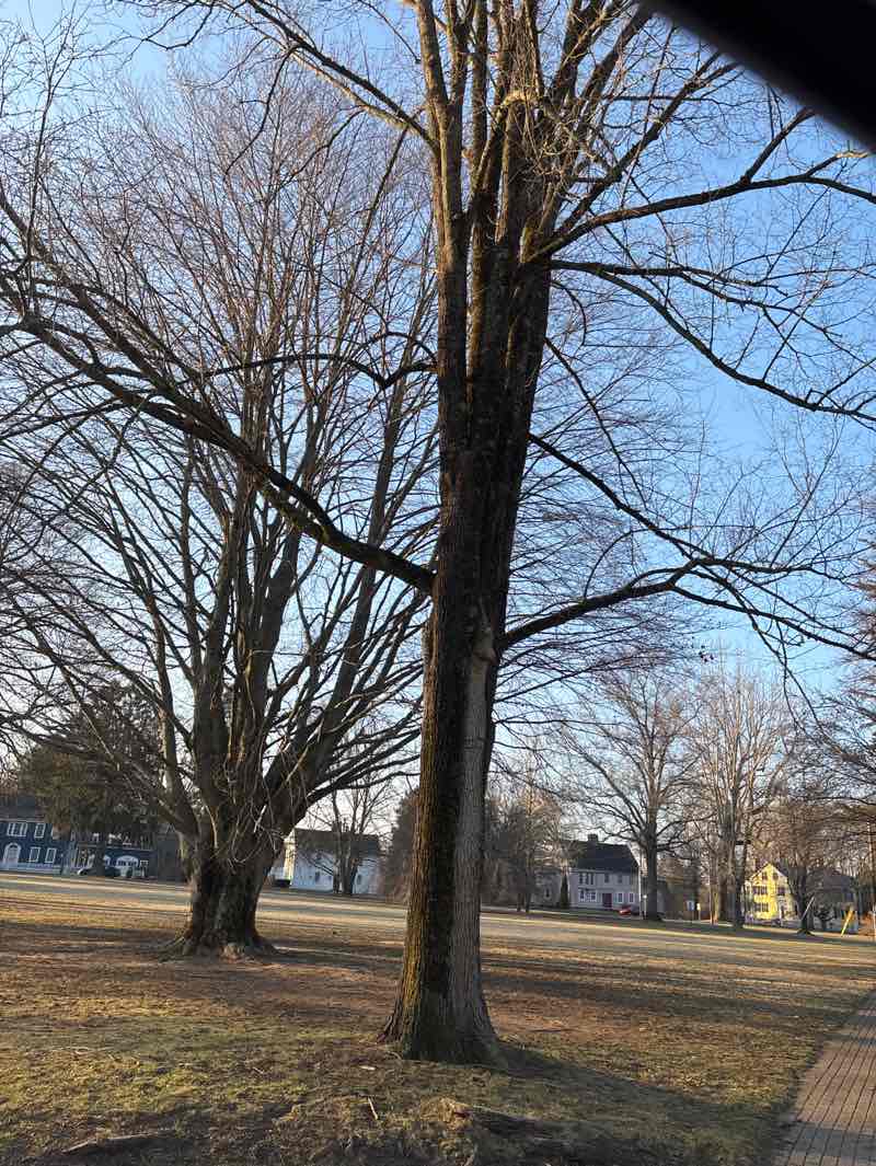 walking near me in Madison Green Historic District in spring