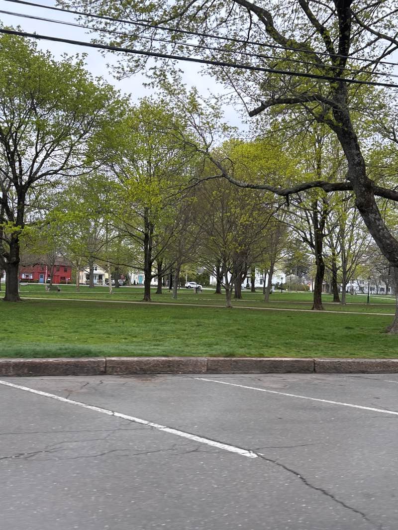 walking near me in Guilford Town Green in spring