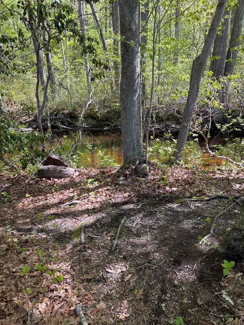 walking near me in Indian River Recreation Complex in spring