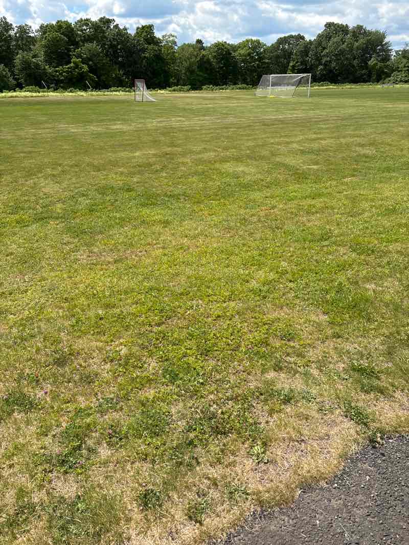 walking near me in Killingworth Recreational Park in summer