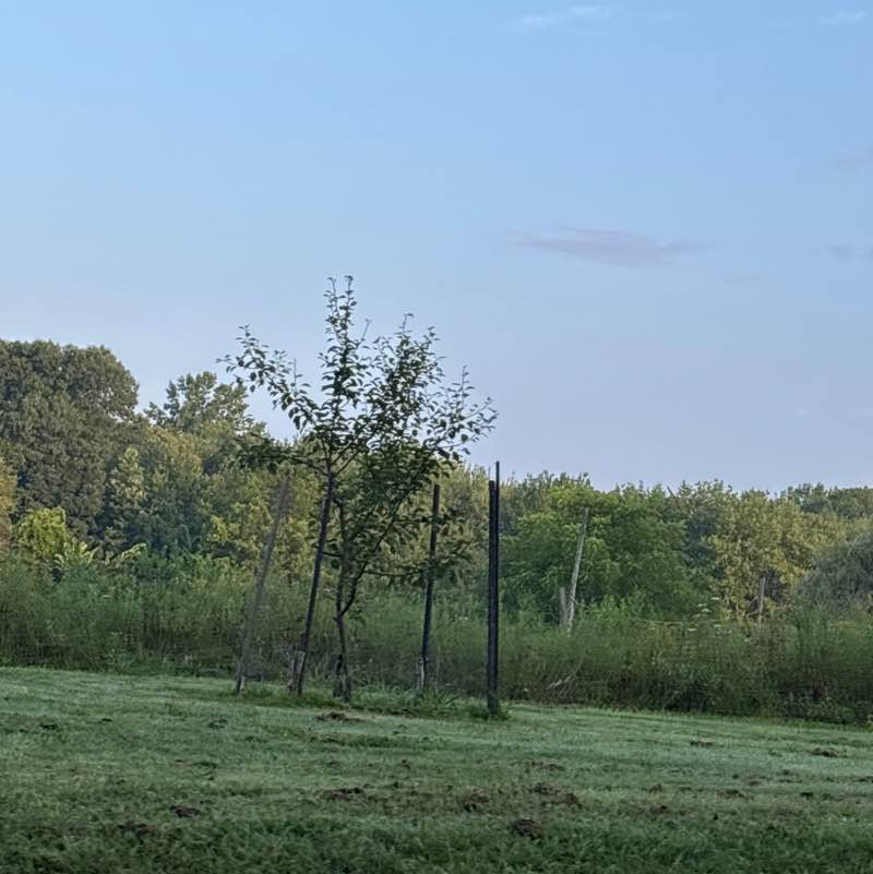 Jacob G post 1