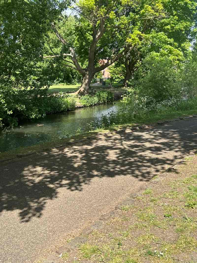 walking near me in Castle Grounds in spring