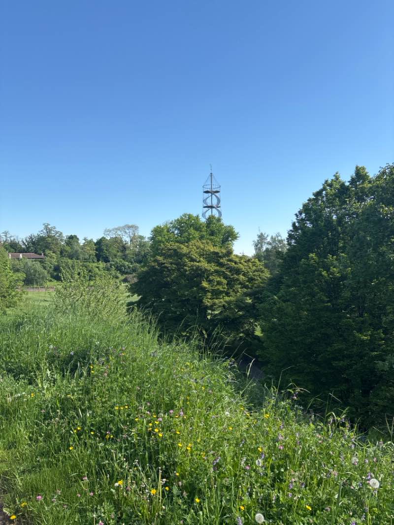 walking near me in Höhenpark Killesberg in spring