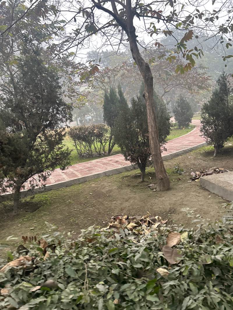 walking near me in A-Block Park Sector 52 in winter