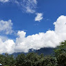 participant 0