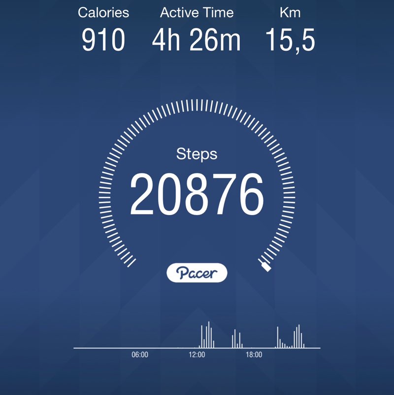 Walk & Diet Mina post image