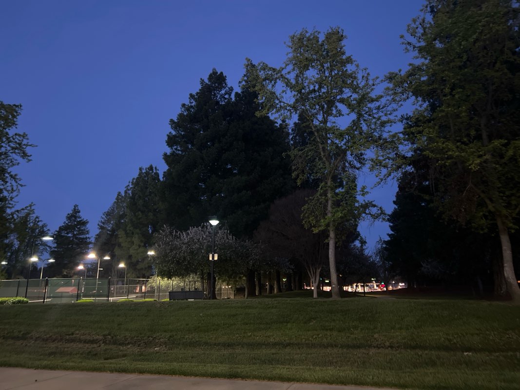 walking near me in Pleasanton Tennis and Community Park in spring