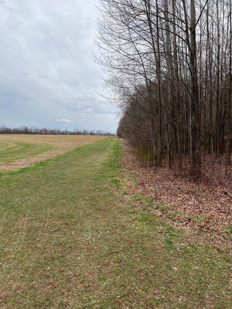 walking near me in West End Regional Park in spring