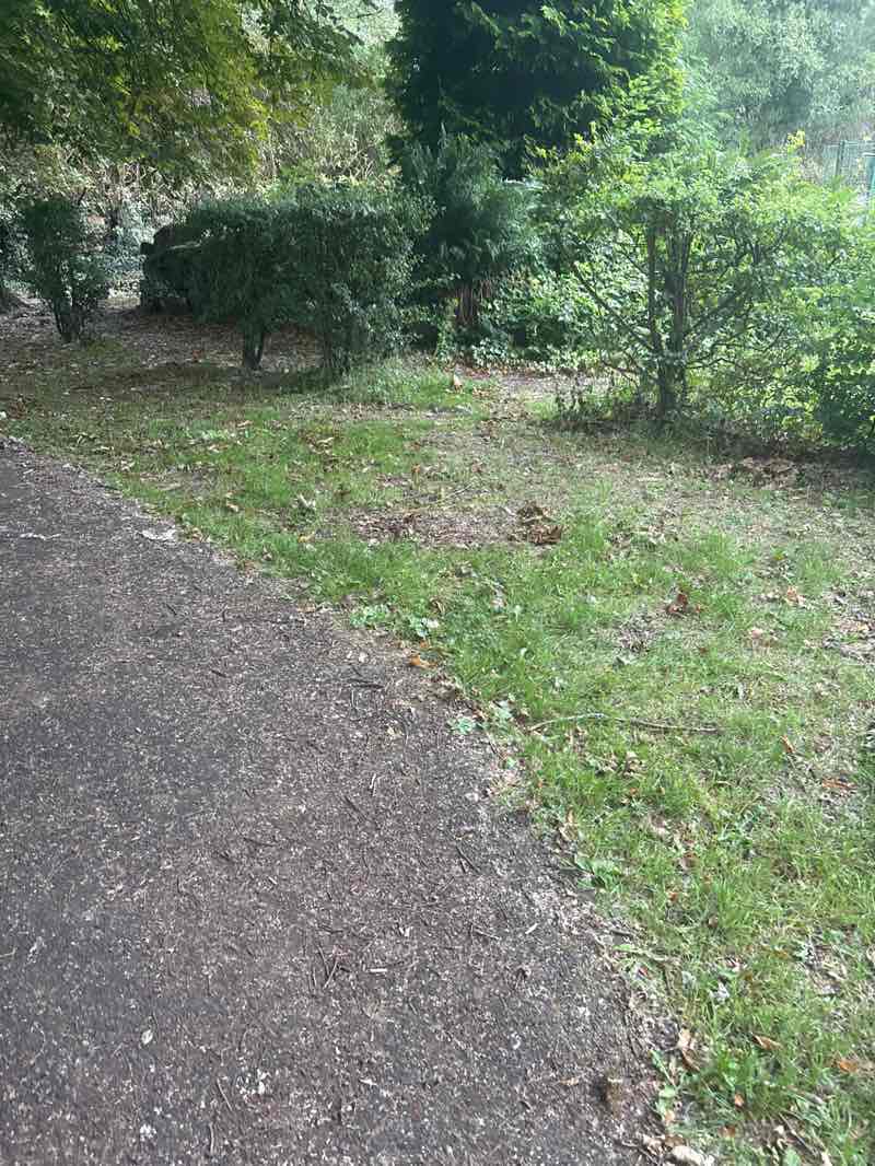 walking near me in Halecroft Park in summer