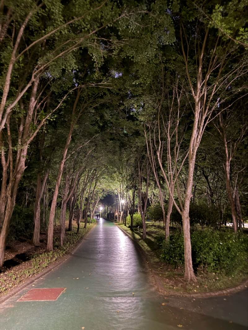 walking near me in 5.18 Memorial Park in spring