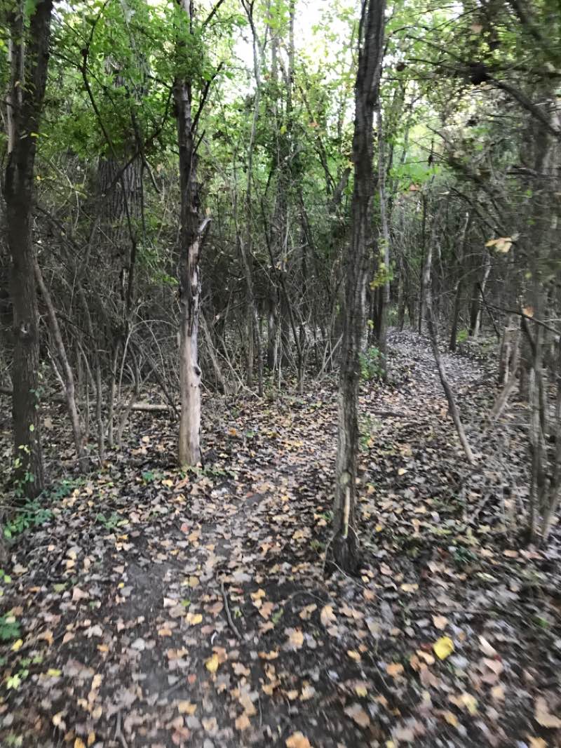 walking near me in Sunset Park in autumn