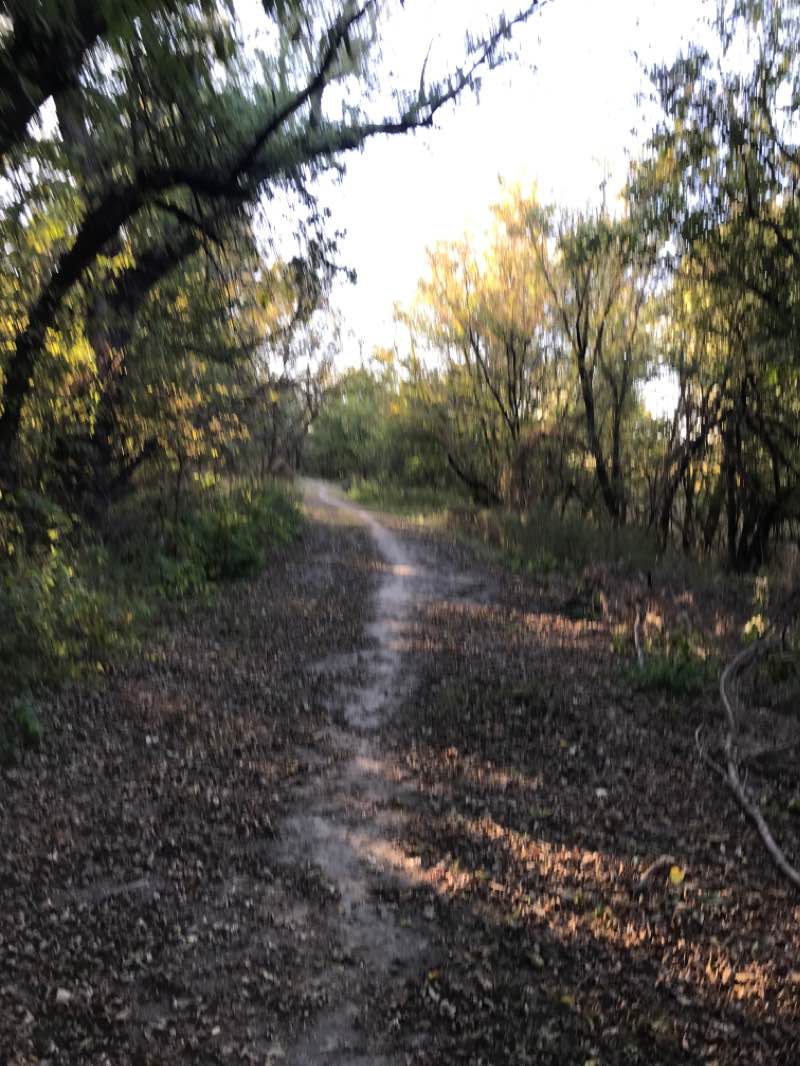 walking near me in Northeast Community Park in autumn