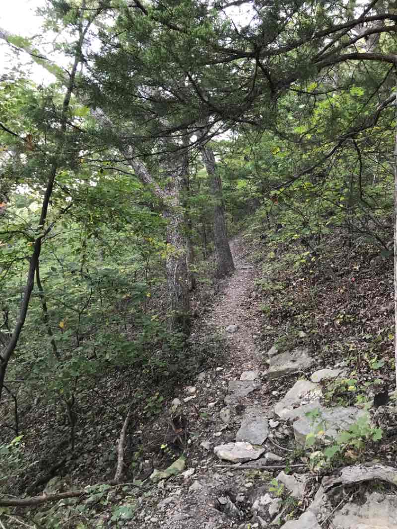 walking near me in Girl Scout Park in autumn