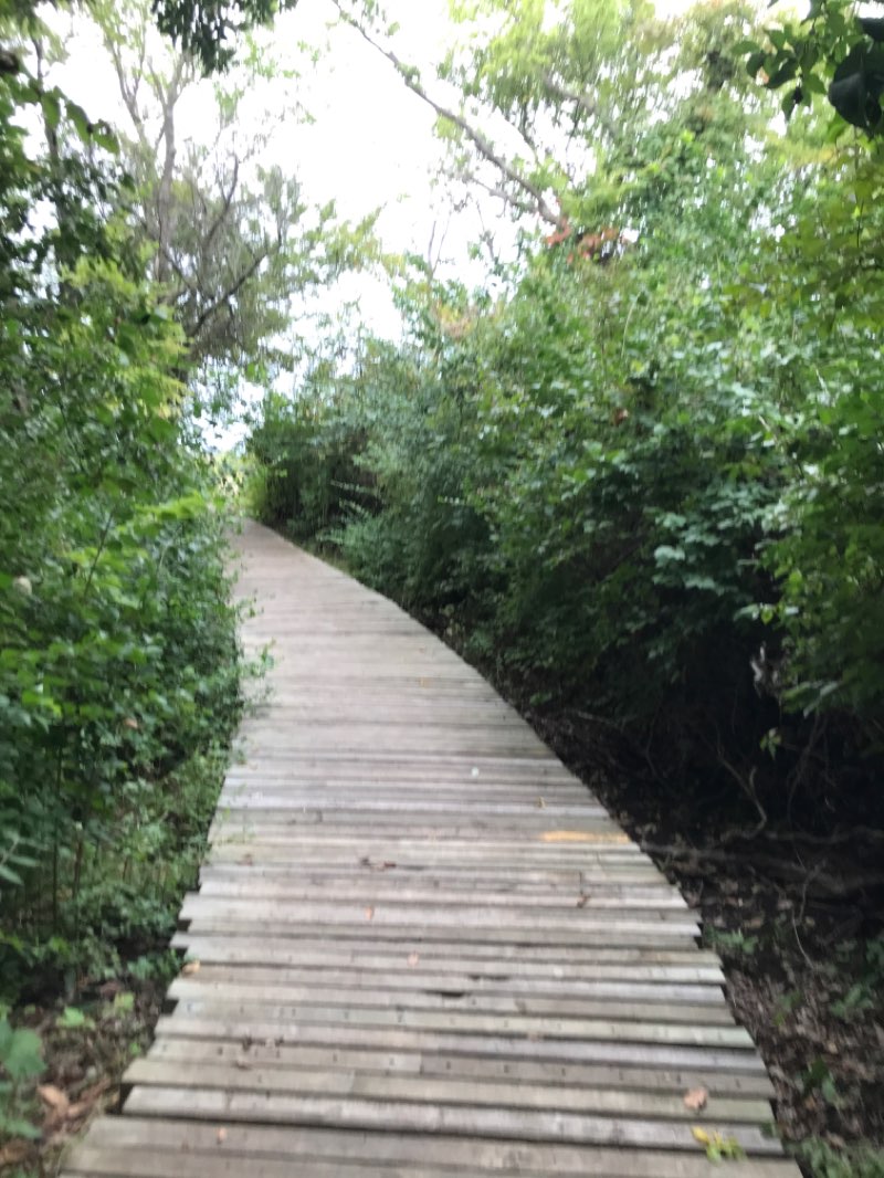 walking near me in Washington Marlatt Memorial Park in autumn