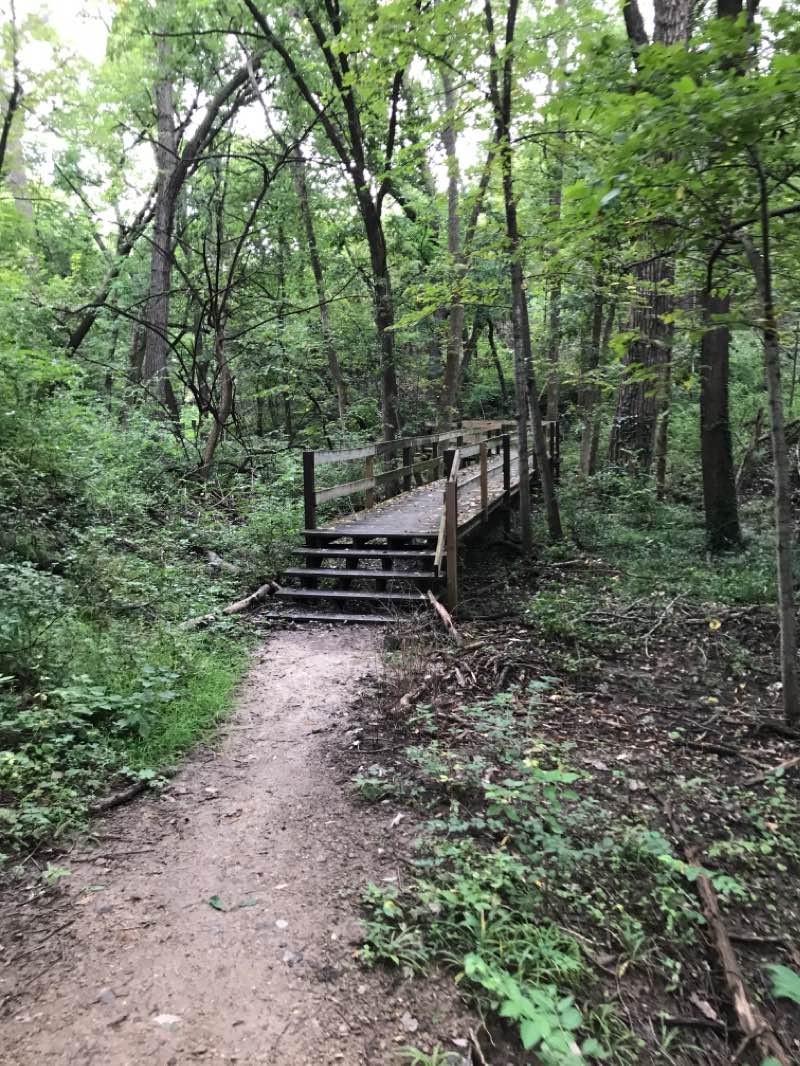 walking near me in Warner Park in autumn