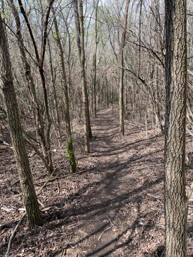 walking near me in Southeast Park in spring