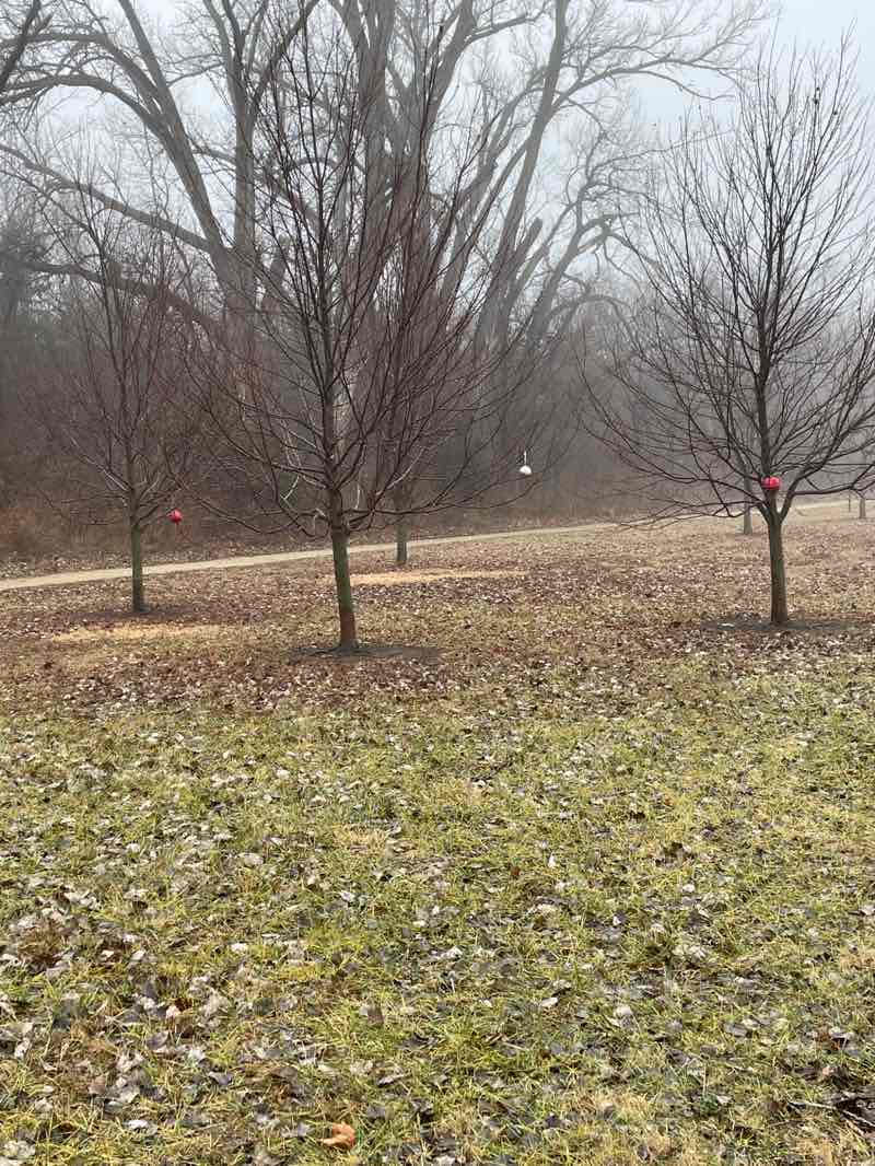 walking near me in Fairmont Park in winter