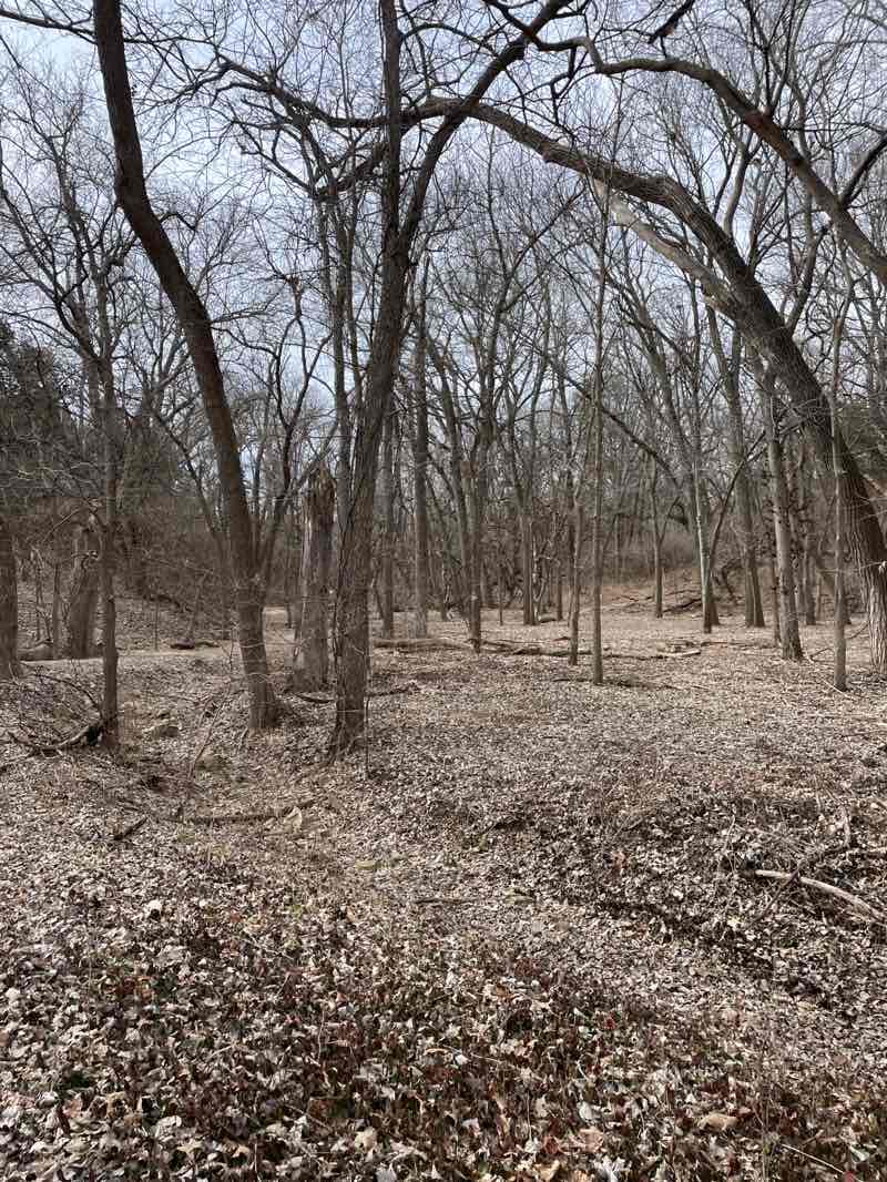 walking near me in Warner Park in winter