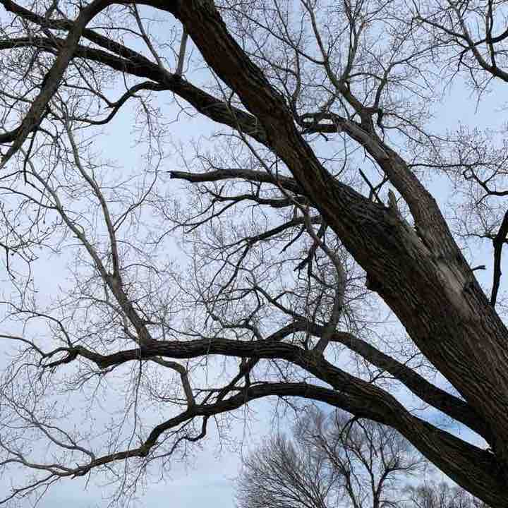 tyedye walker post 1