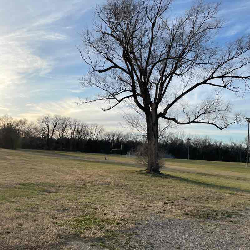 tyedye walker post 1