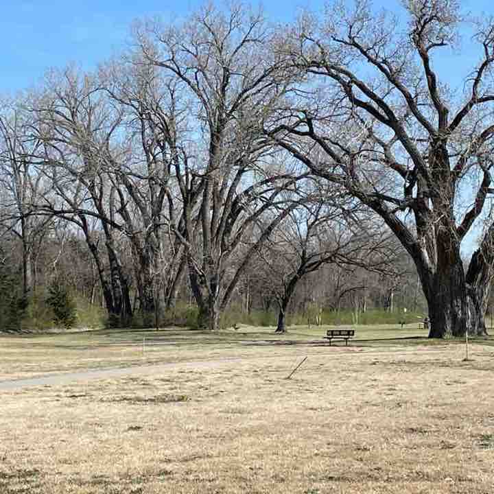 tyedye walker post 1