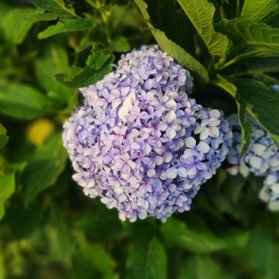 BORN TO FIT Priyanshu post image