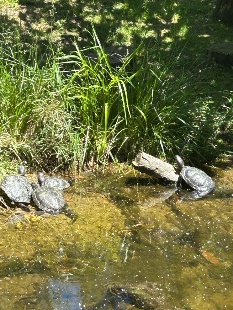 walking near me in Micke Grove Regional Park in spring