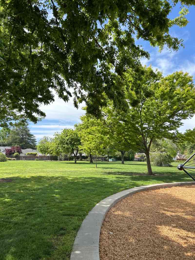 walking near me in Lincoln Park in spring